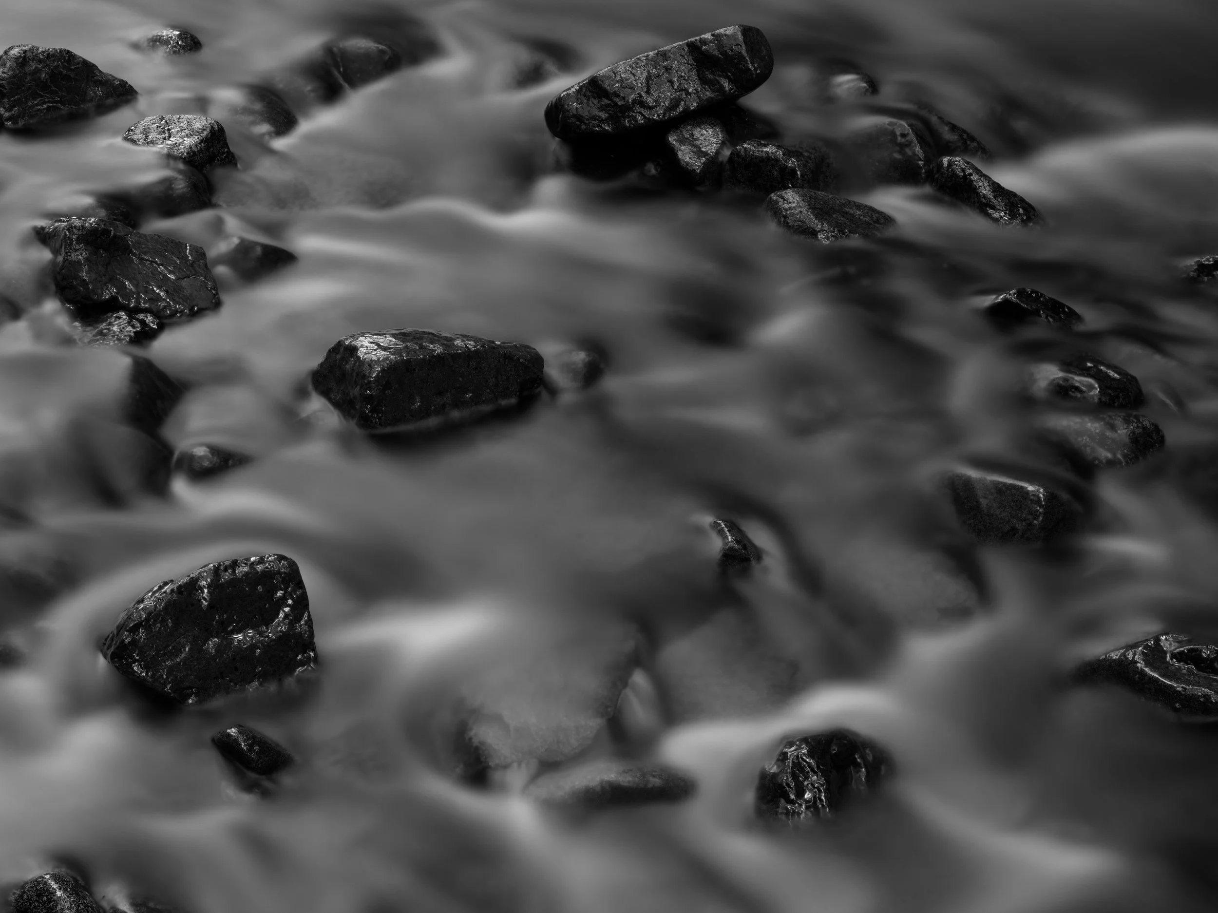 Rain-forest Stream XVIII